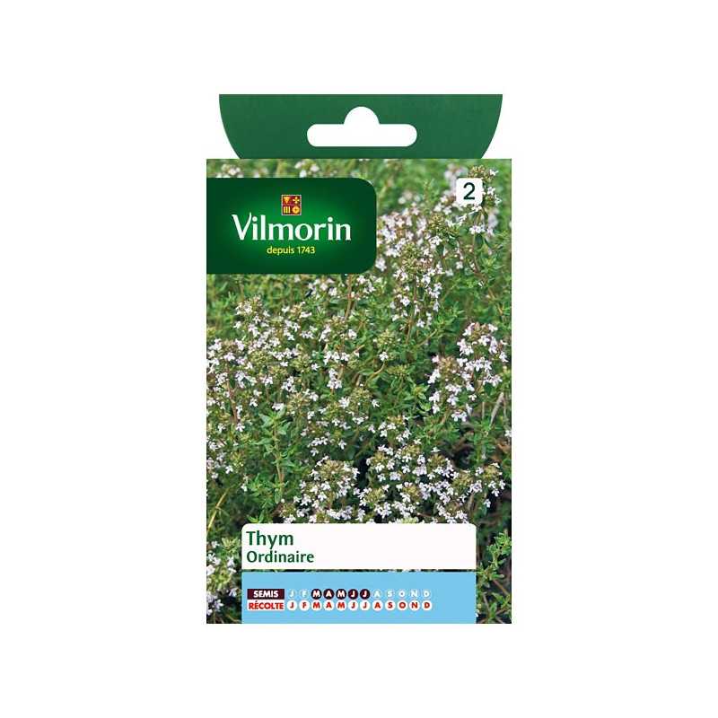 Sachet graines Thym ordinaire