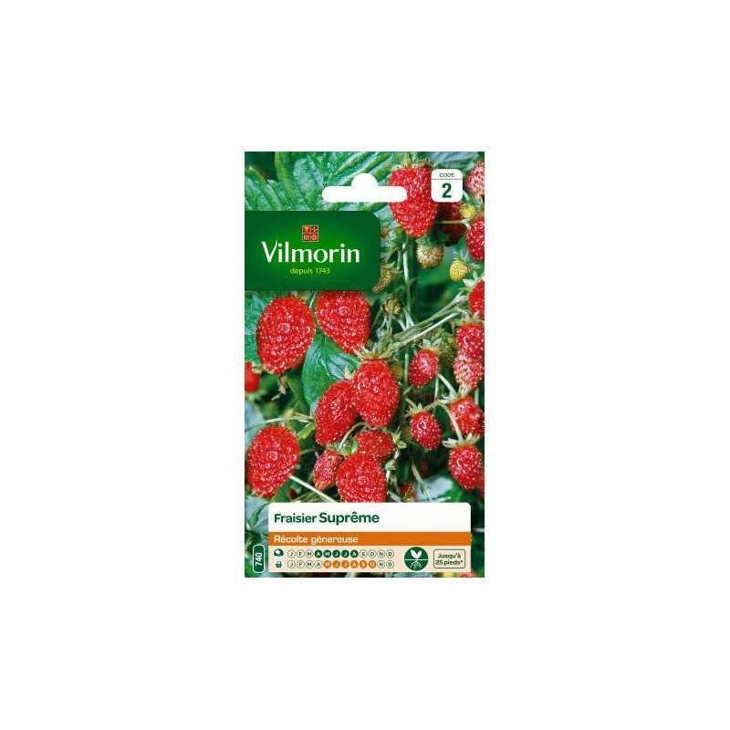 Sachet graines Fraisier des 4 saisons Supreme