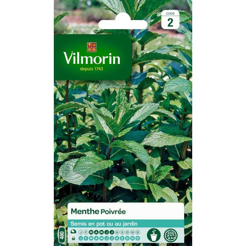 Hoja de productos de menta de multitanks 5877946