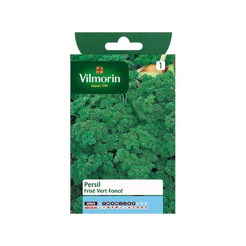 Fiche produit Persil frisé vert foncé