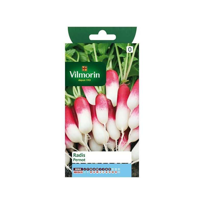Fiche produit Radis Pernot