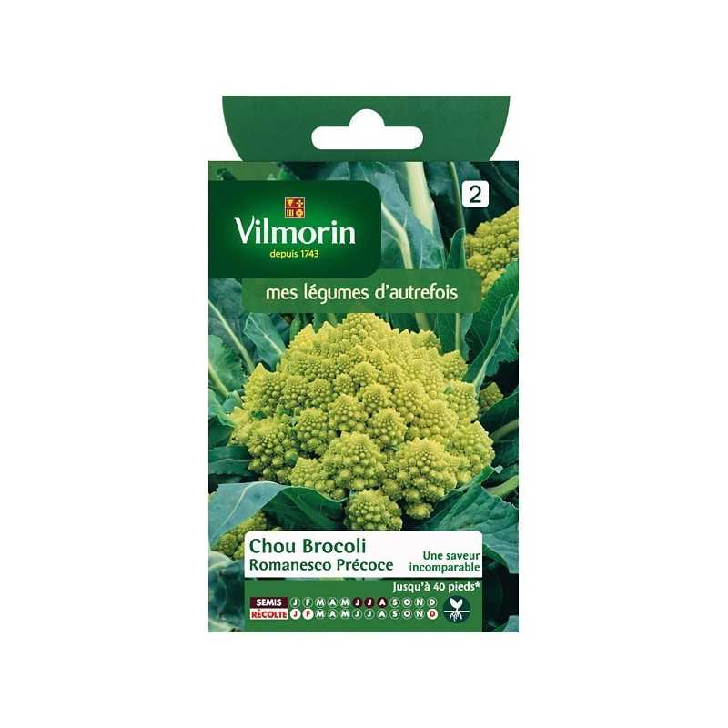 Product sheet Chou Broccoli Romanesco Early