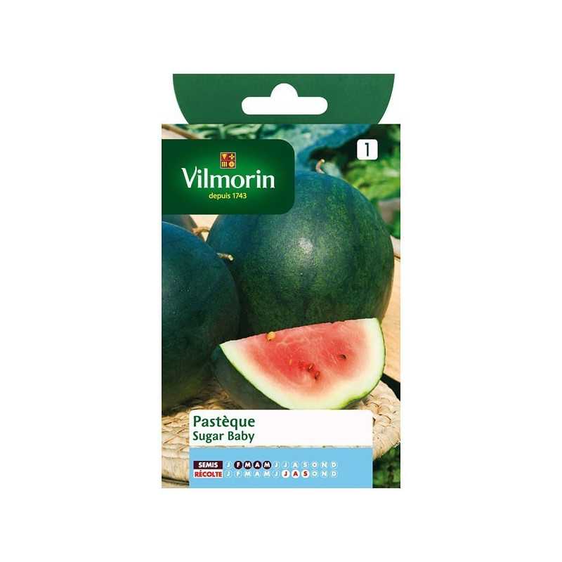 Product sheet Sugar baby watermelon