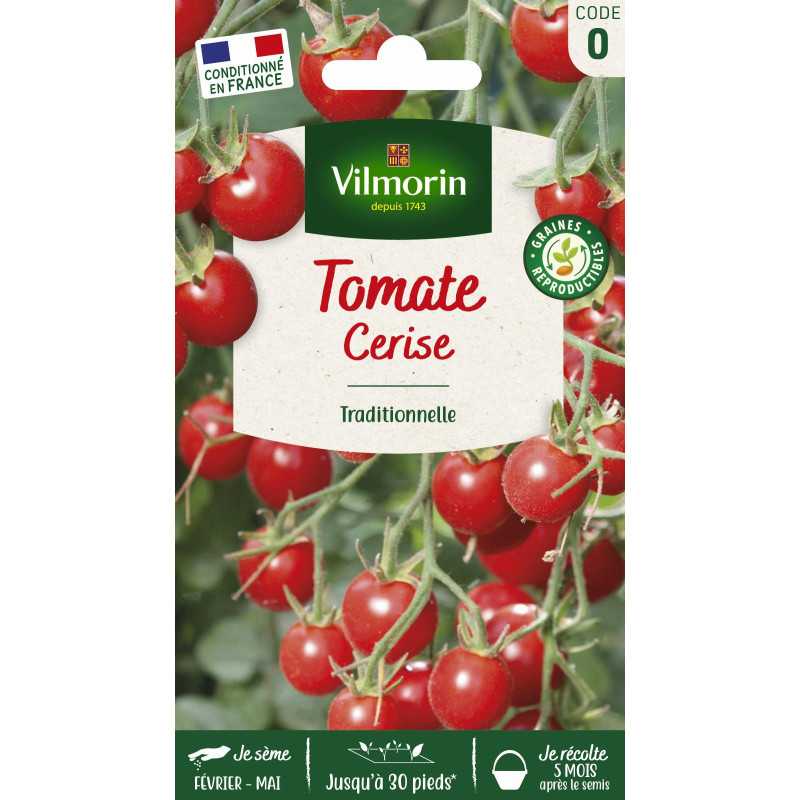 Graines Tomate Cerise Rouge Vilmorin | Fruit Sucré et Productif
